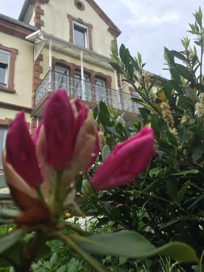 L'Aromeantic Appartement Rothau Buitenkant foto